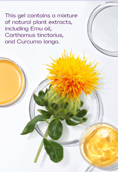 🔥Instant Pain Relief🔥Tiworld™ Turmeric & Emu Oil Arthritis Gel | AOA Approved